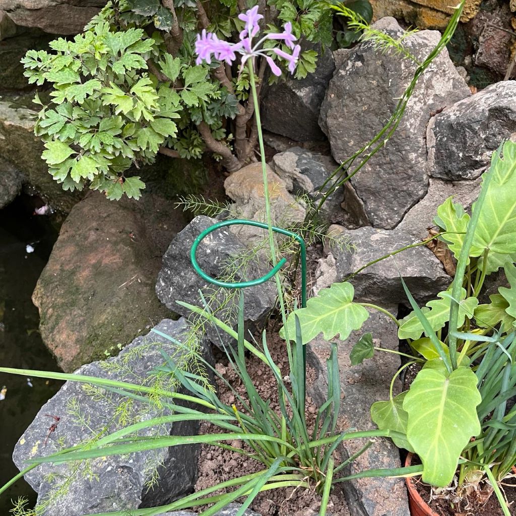 Garden stake for balcony and terrace use