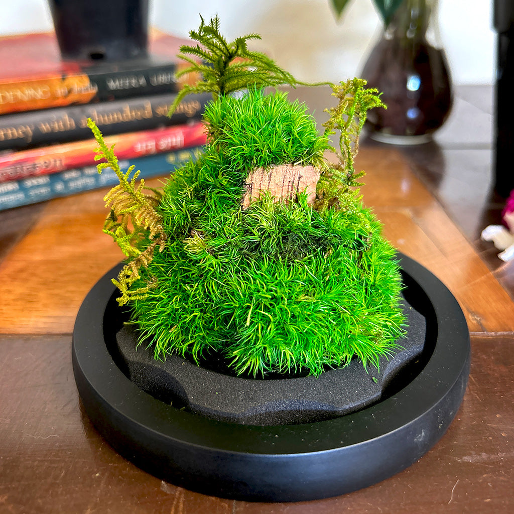 Mossy Mountain Preserved Flower Tabletop removed from box – woodland-inspired preserved décor.