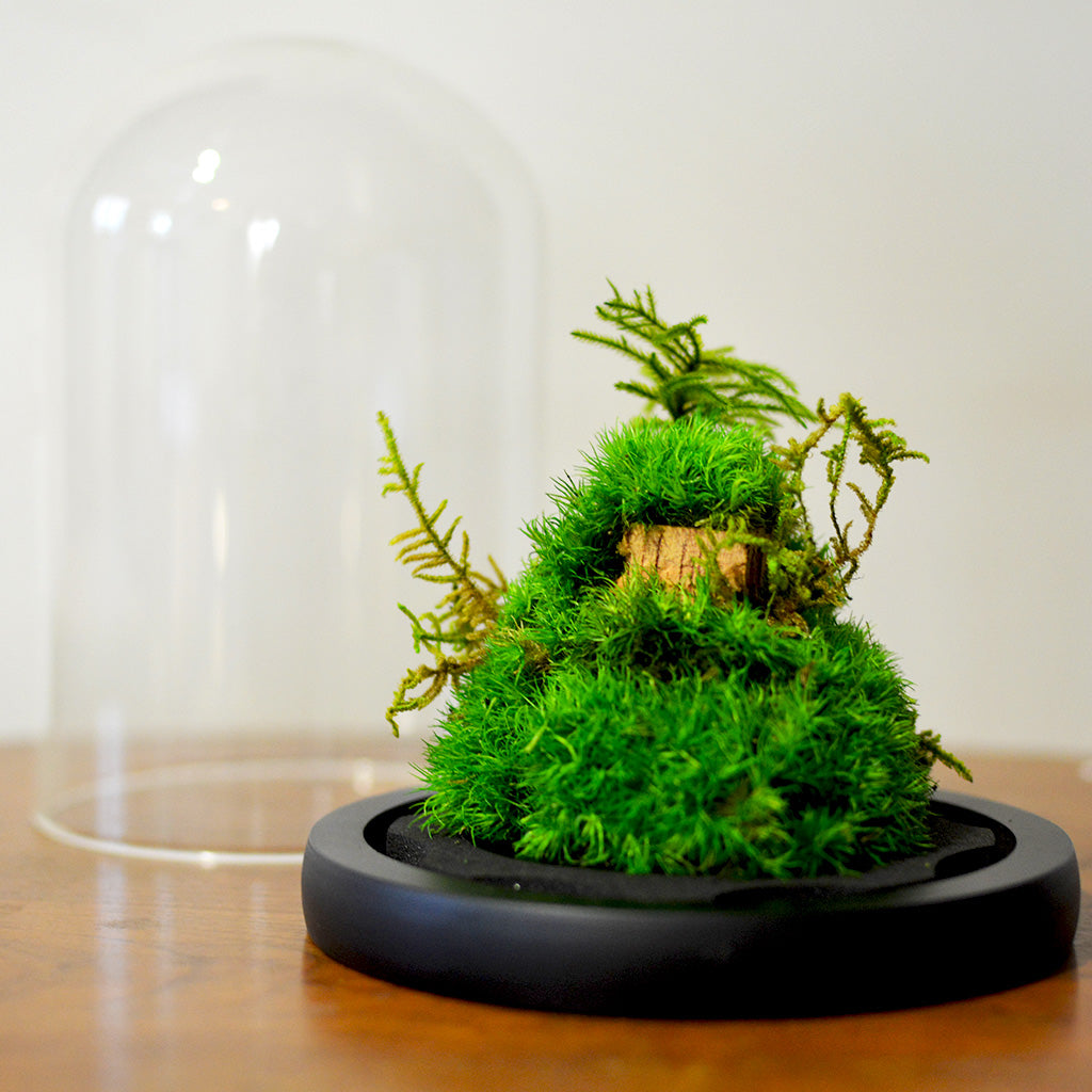 Close-up of Mossy Mountain preserved blooms – forest & mountain inspired décor.