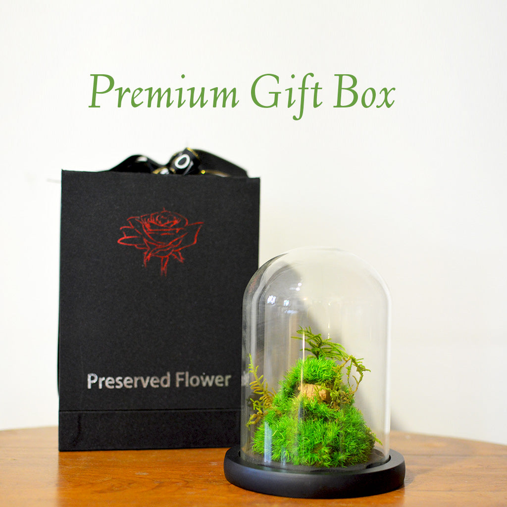 A nature-rooted preserved décor piece packed beautifully for gifting.