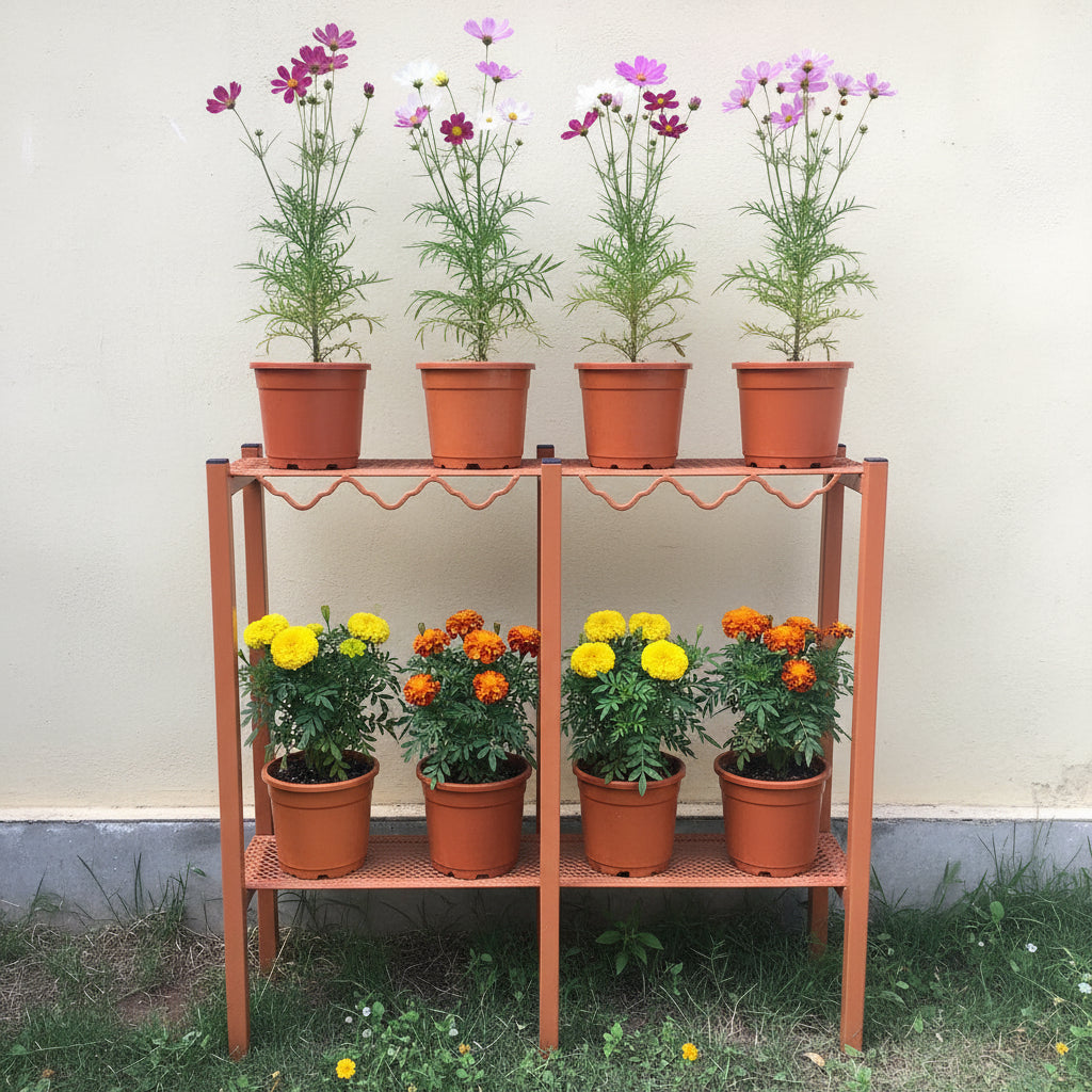 Multipurpose Stand with Cosmos and Marigold plants - myBageecha