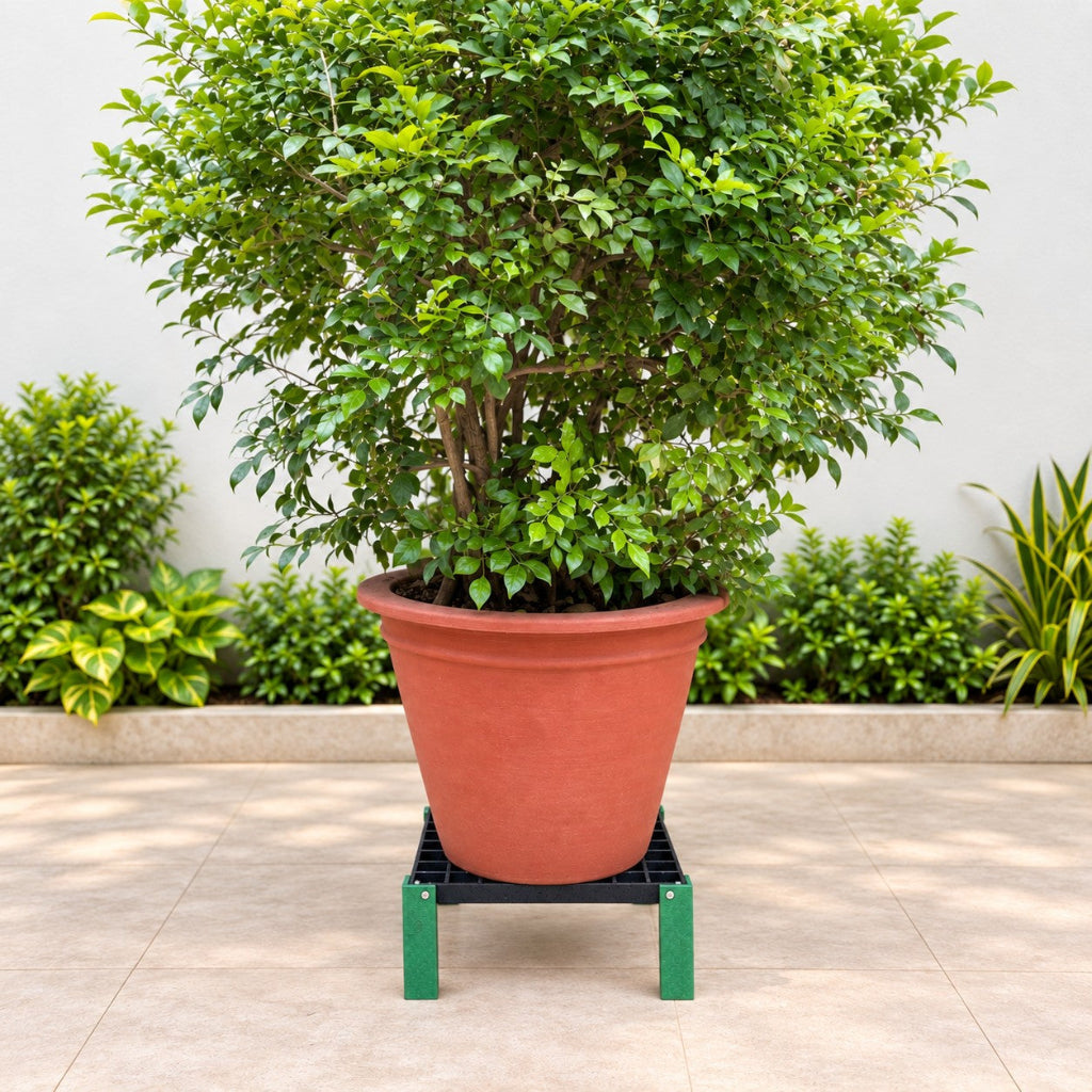 Big Potted Plant shown on FRP Stand