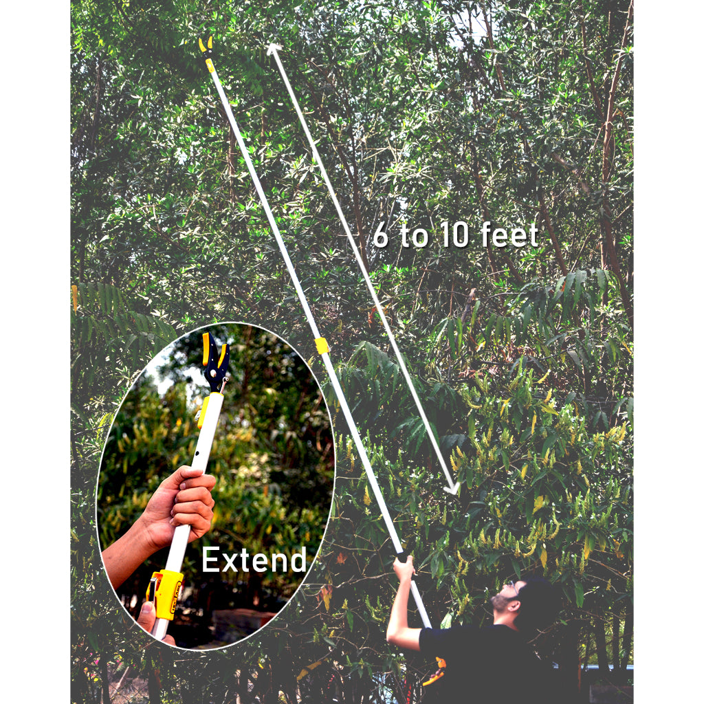 Telescopic cutter for tall tree branches