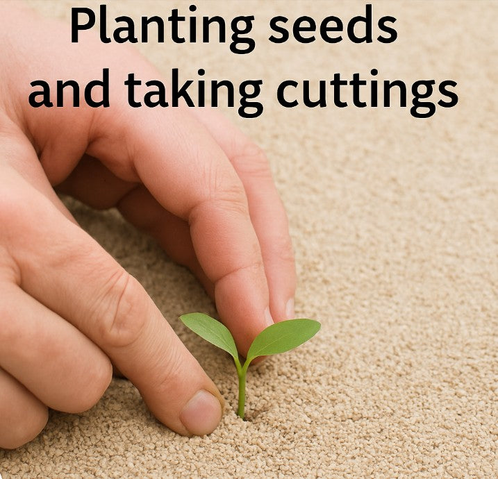 Sand Flakes-myBageecha