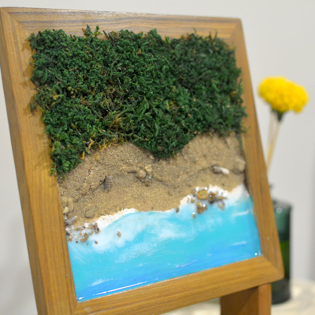 Coastal theme preserved moss – close-up