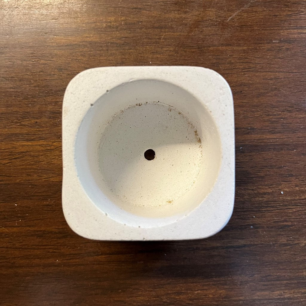 Airplant Square Planter - myBageecha