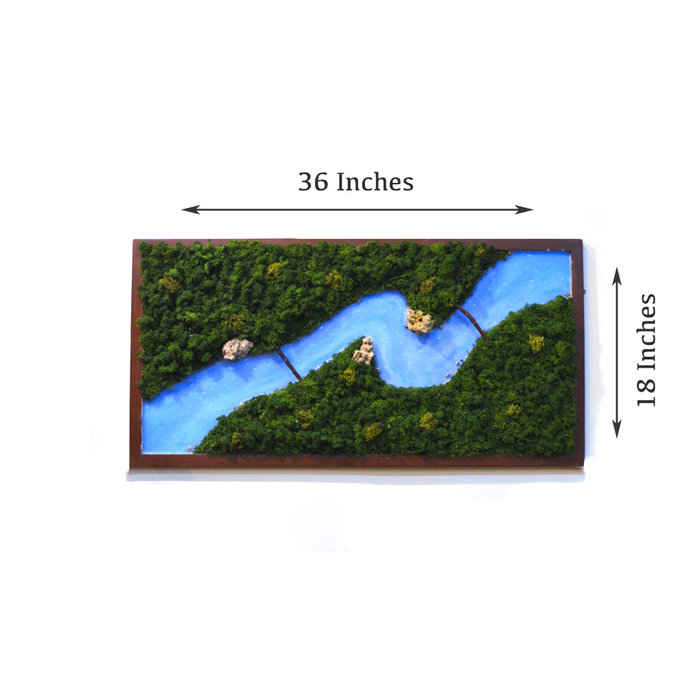Traverse The Wild Preserved Moss Frame with Dark Wood -Dimensional view of another varient