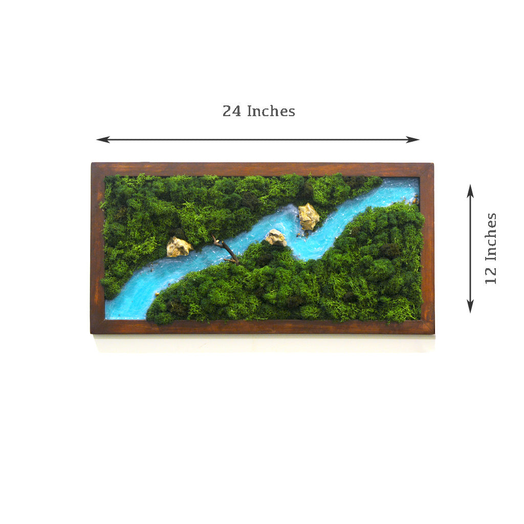 Traverse The Wild Preserved Moss Frame with Dark Wood -dimensional view