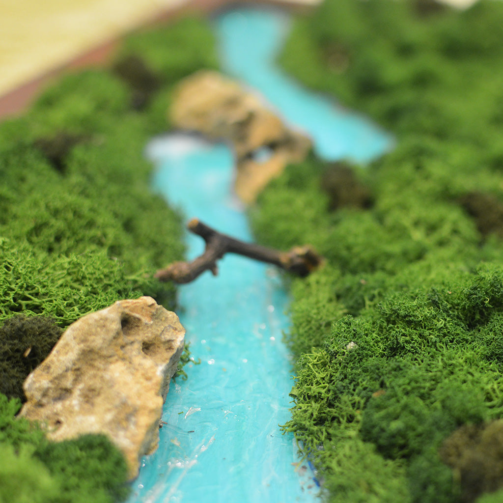 Traverse The Wild Preserved Moss Frame with Dark Wood-myBageecha