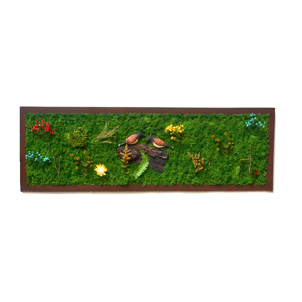 Bulbul's Call Preserved Moss Frame with Dark Wood - myBageecha