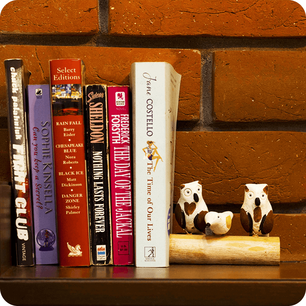 Bird Stand - Owl - myBageecha