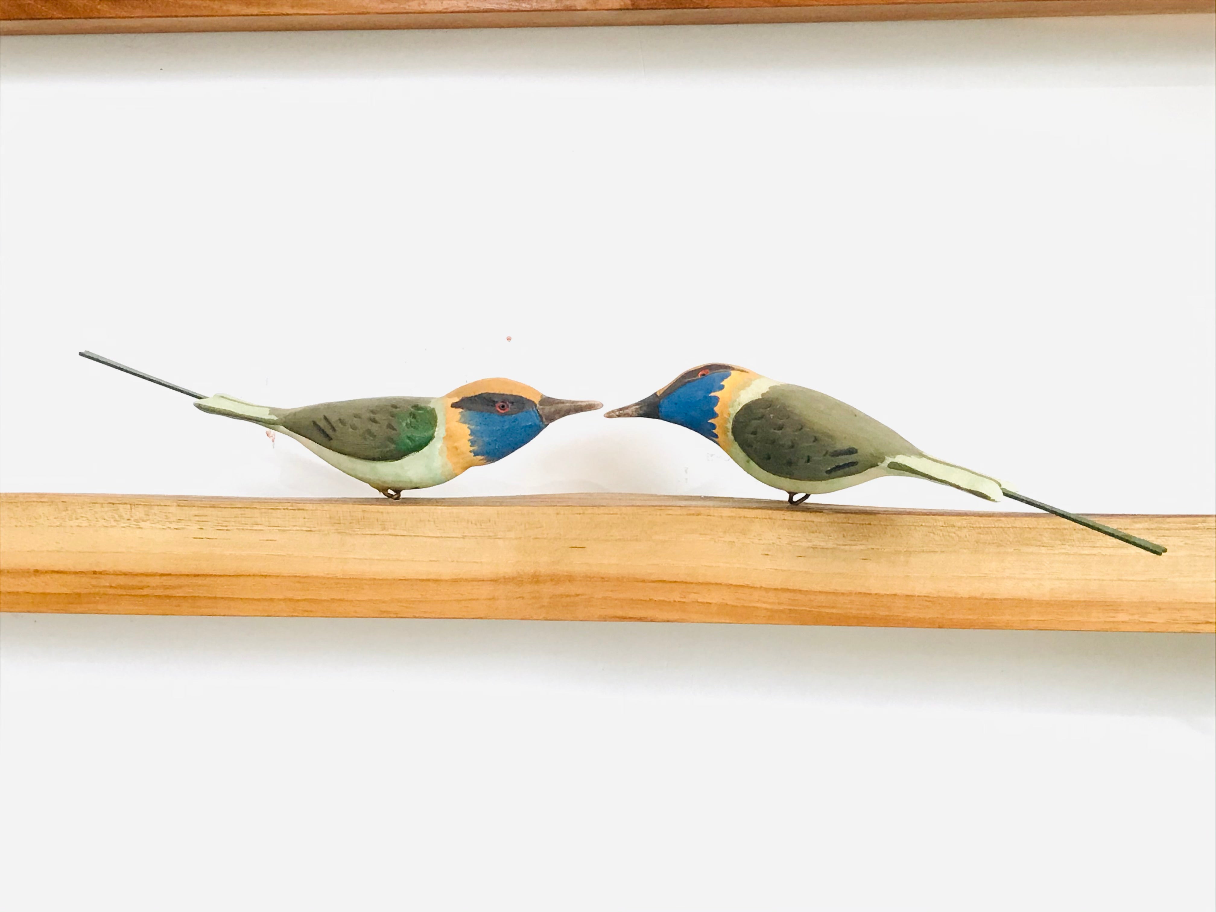 Exotic Birds - Bee Eater - myBageecha