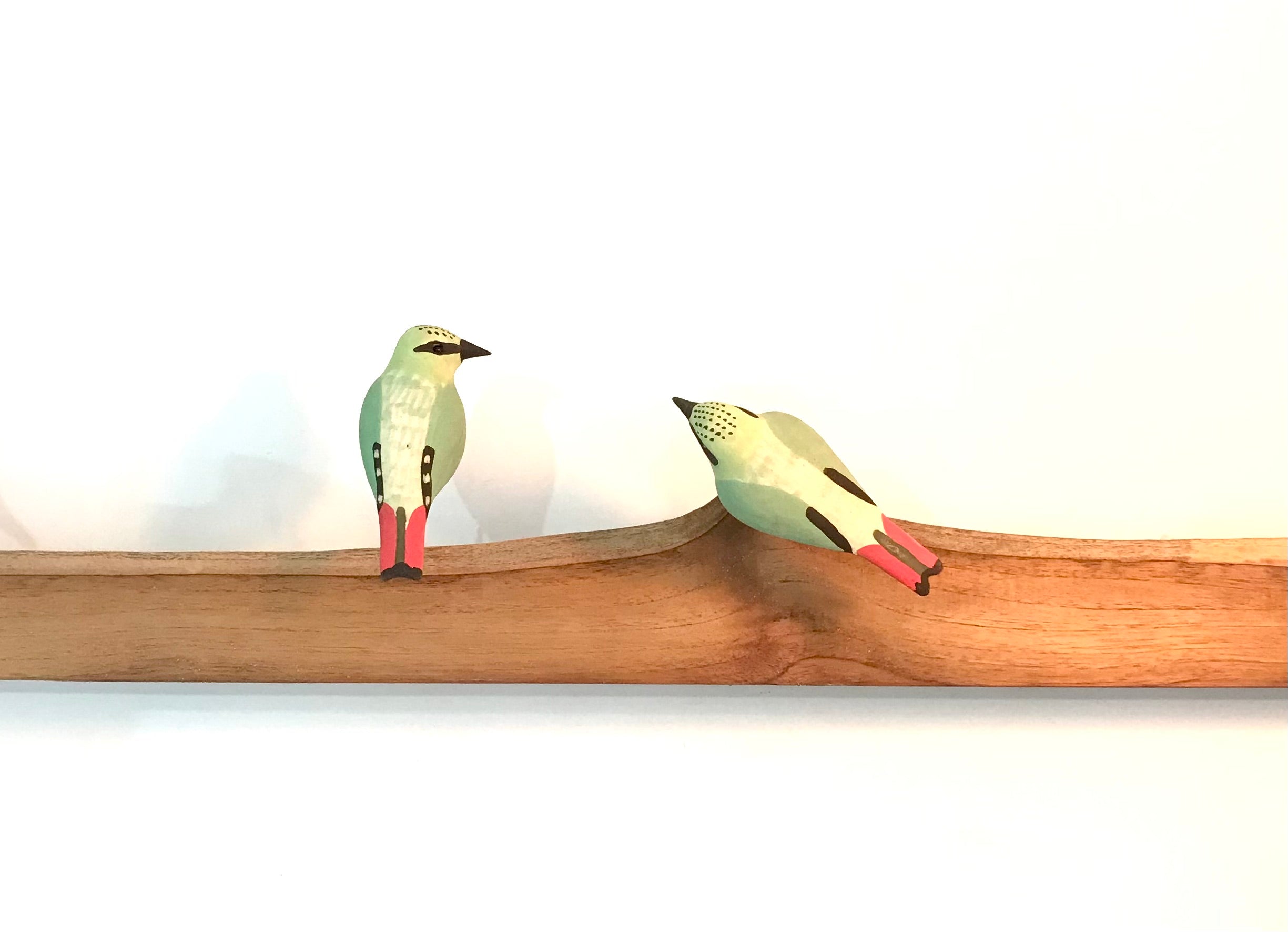 Exotic Birds - Fire tailed Myzornis - myBageecha