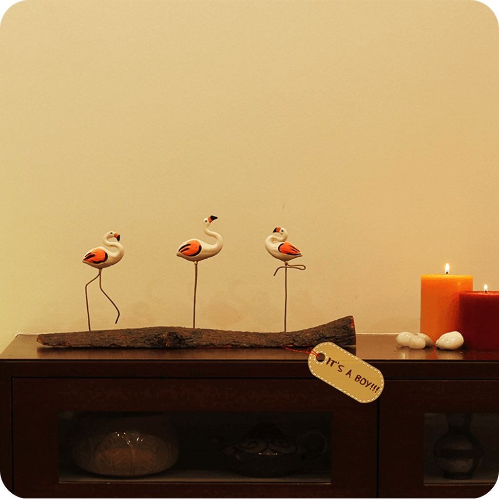 Peppy Pops - Flamingo Mount - myBageecha