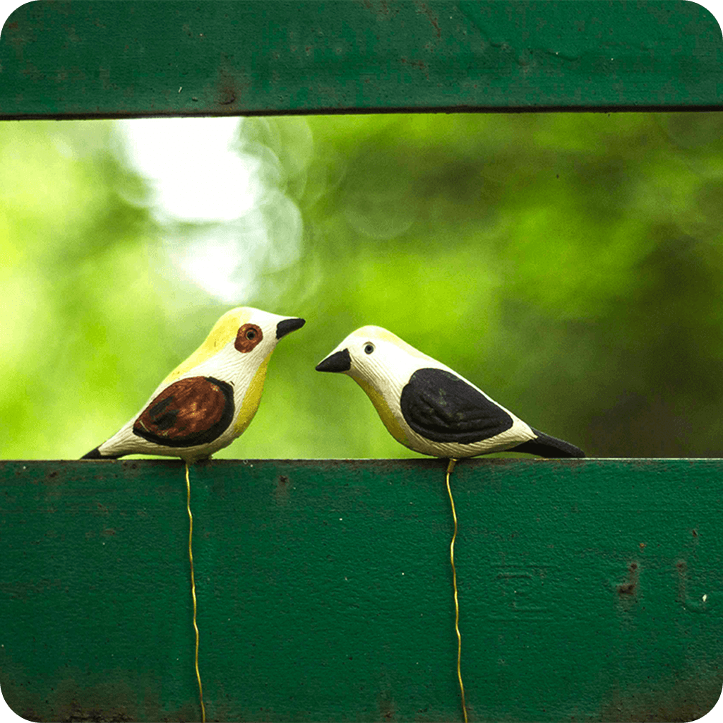 Peppy Pops - Baya Weaver (A Pair) - myBageecha