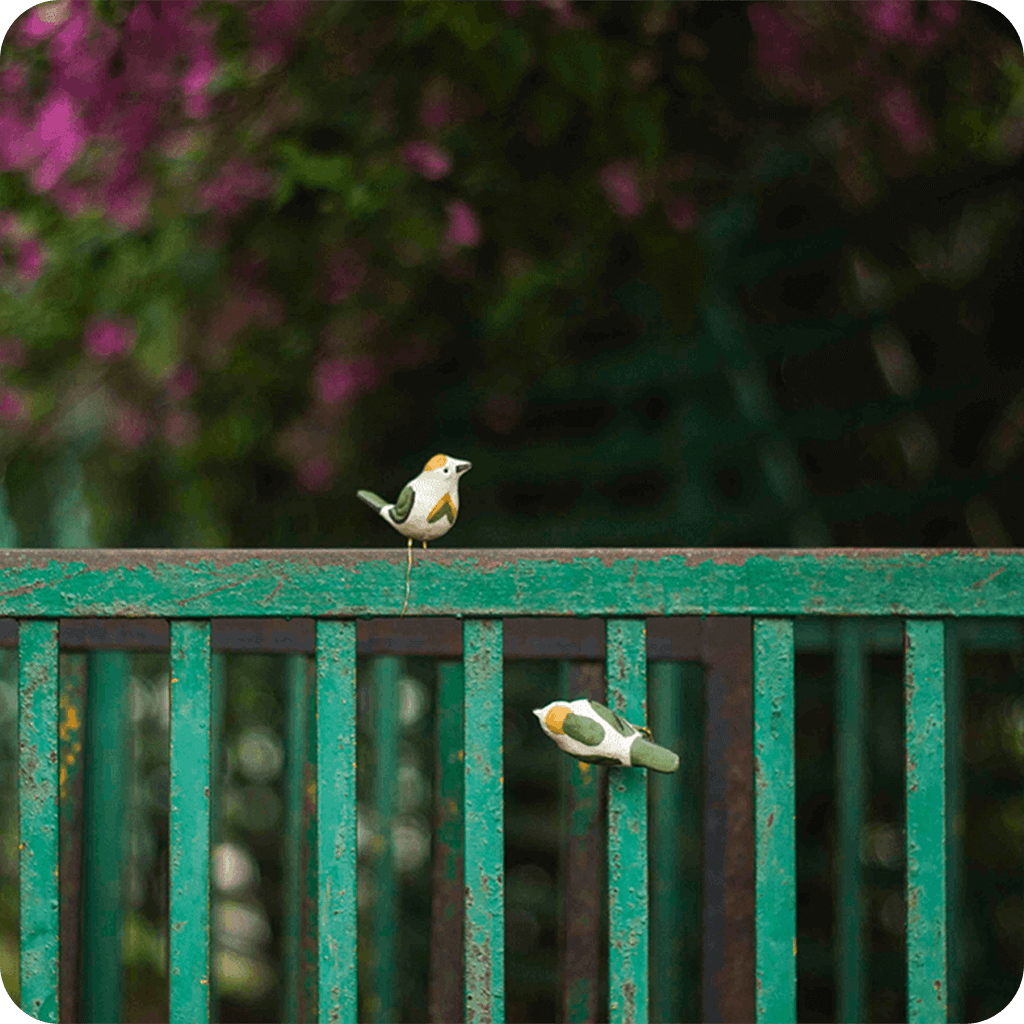 Peppy Pops - Tailorbird (A Pair) - myBageecha