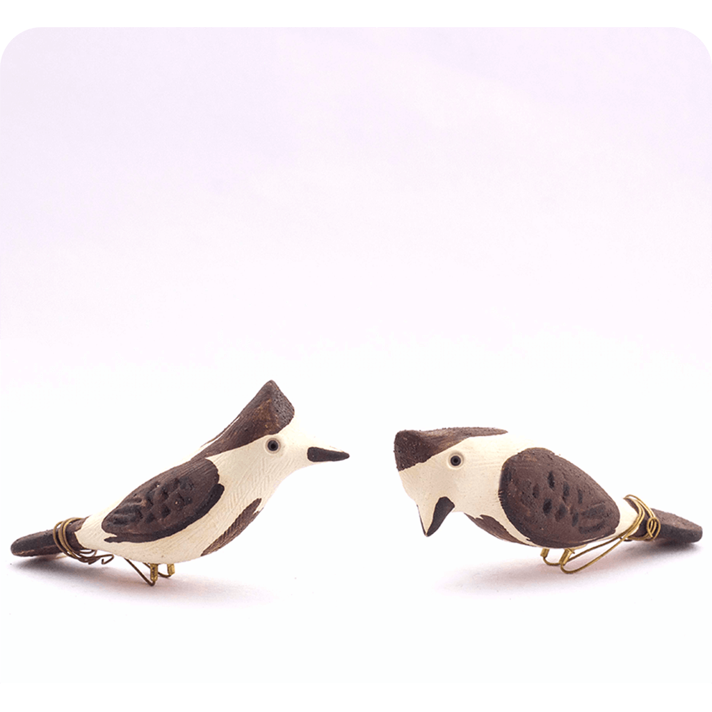 Peppy Pops - Bul Bul ( A Pair) - myBageecha