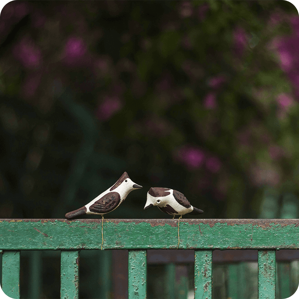 Peppy Pops - Bul Bul ( A Pair) - myBageecha