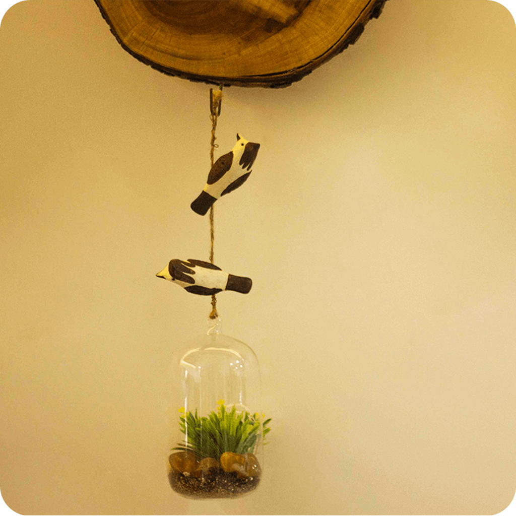 Peppy Pops - Bul Bul ( A Pair) - myBageecha