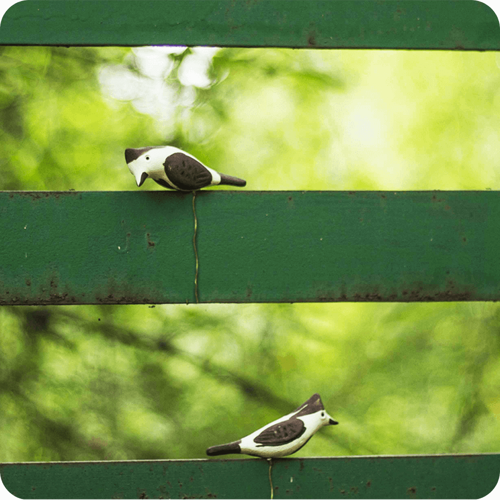 Peppy Pops - Bul Bul ( A Pair) - myBageecha