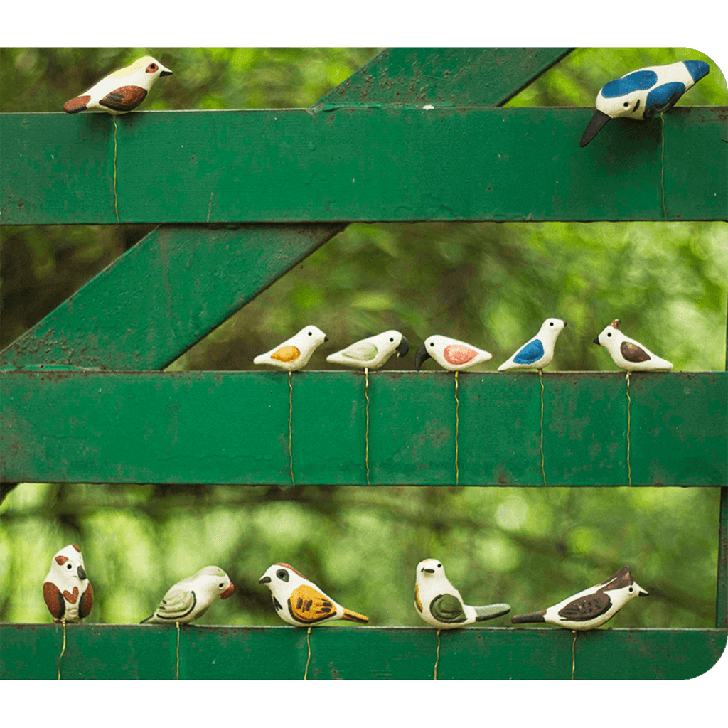 Peppy Pops - Each Of Chatur Chidiyaa - myBageecha