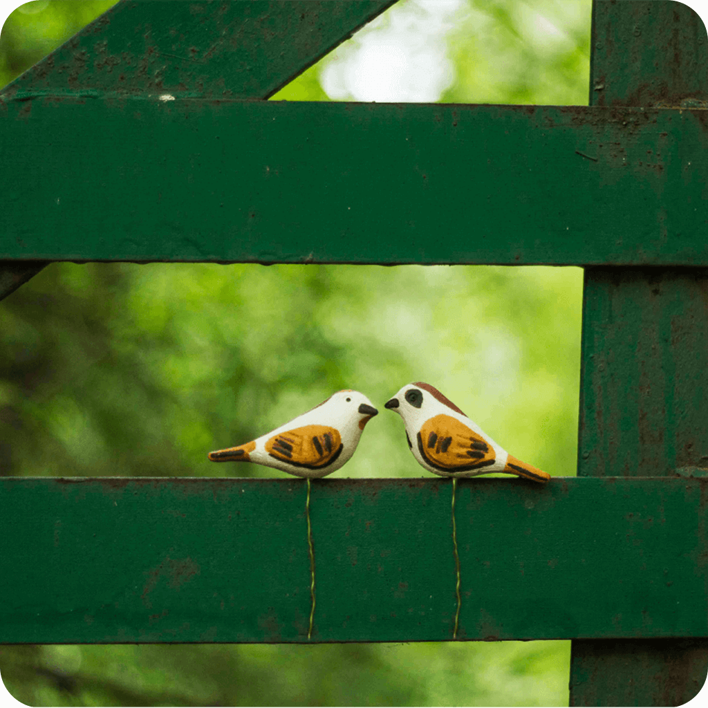 Peppy Pops - House Sparrow ( A Pair) - myBageecha