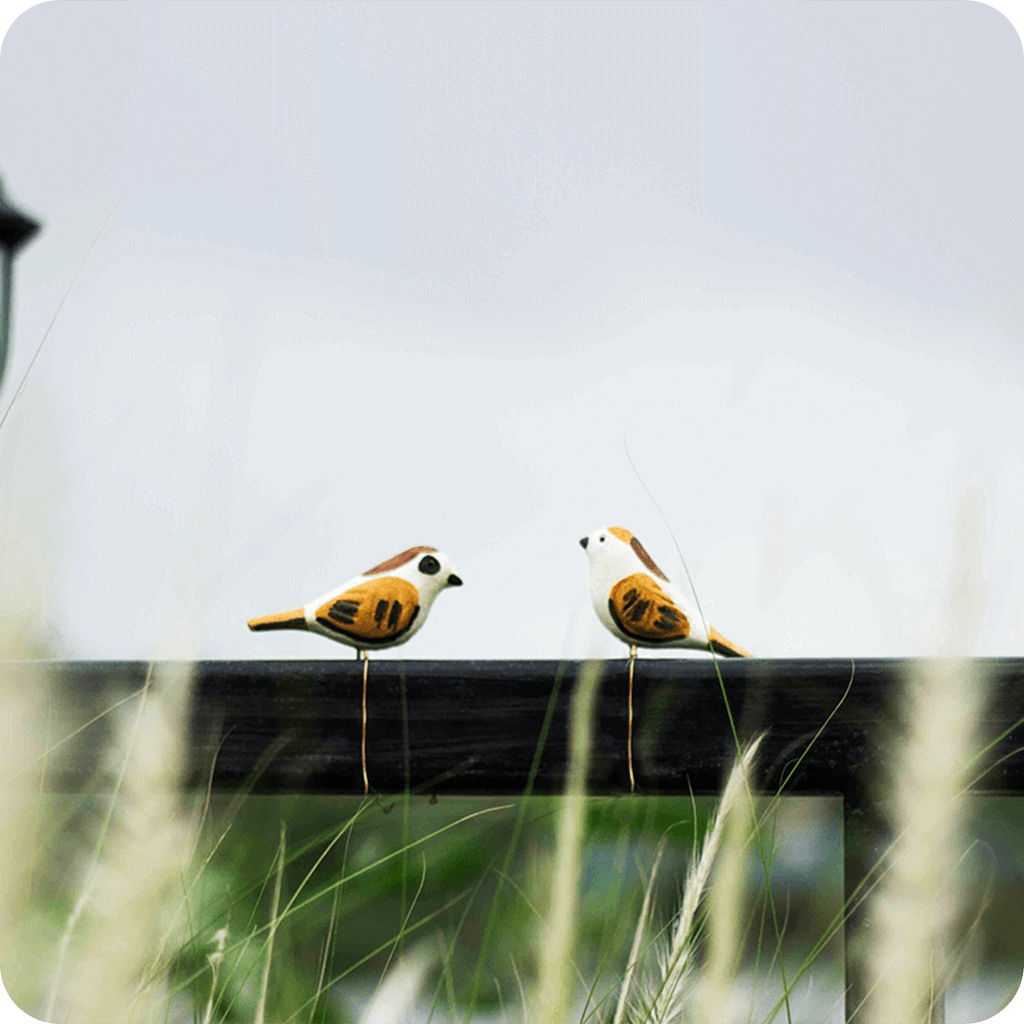 Peppy Pops - House Sparrow ( A Pair) - myBageecha