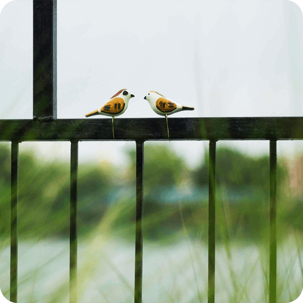 Peppy Pops - House Sparrow ( A Pair) - myBageecha