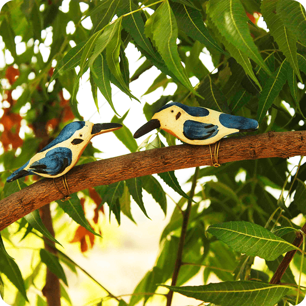 Peppy Pops - Kingfisher (A Pair) - myBageecha