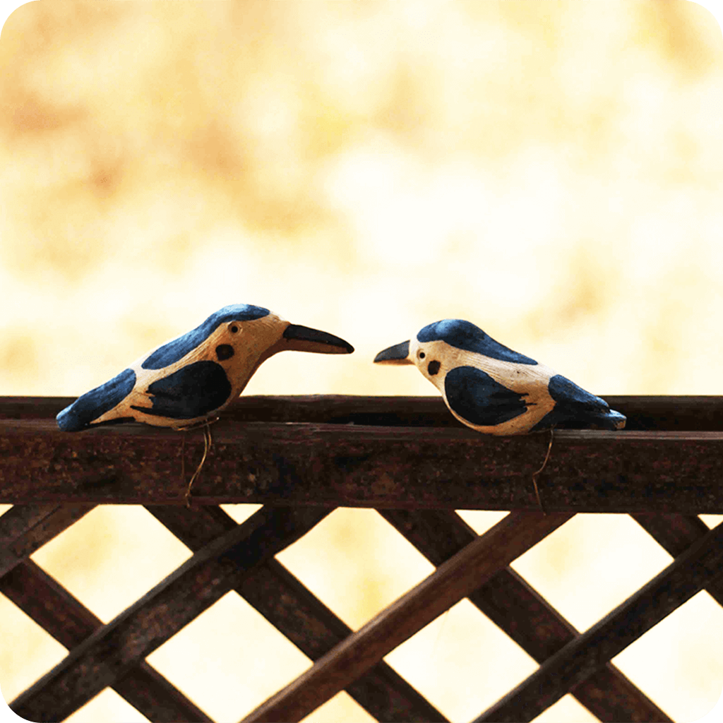 Peppy Pops - Kingfisher (A Pair) - myBageecha