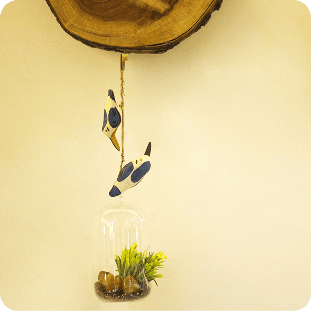 Peppy Pops - Kingfisher (A Pair) - myBageecha