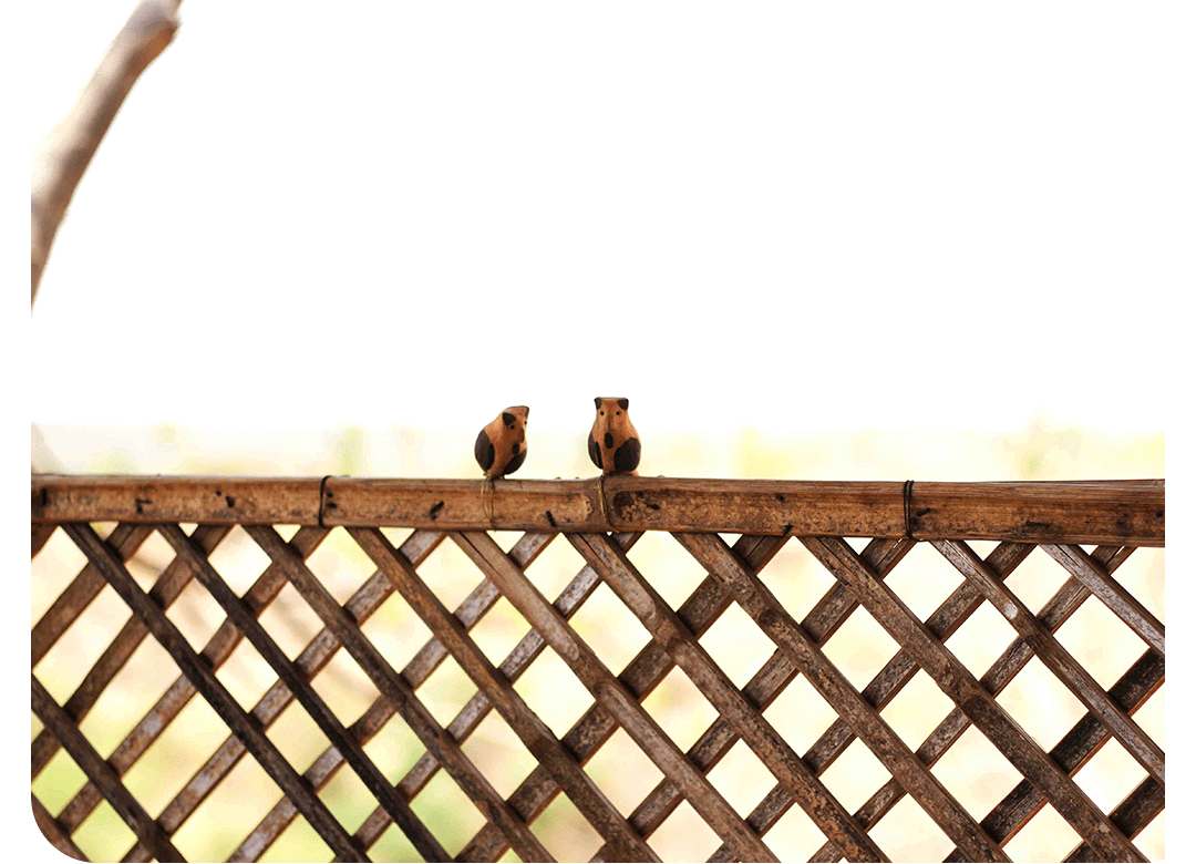 Peppy Pops - Owl (A Pair) - myBageecha