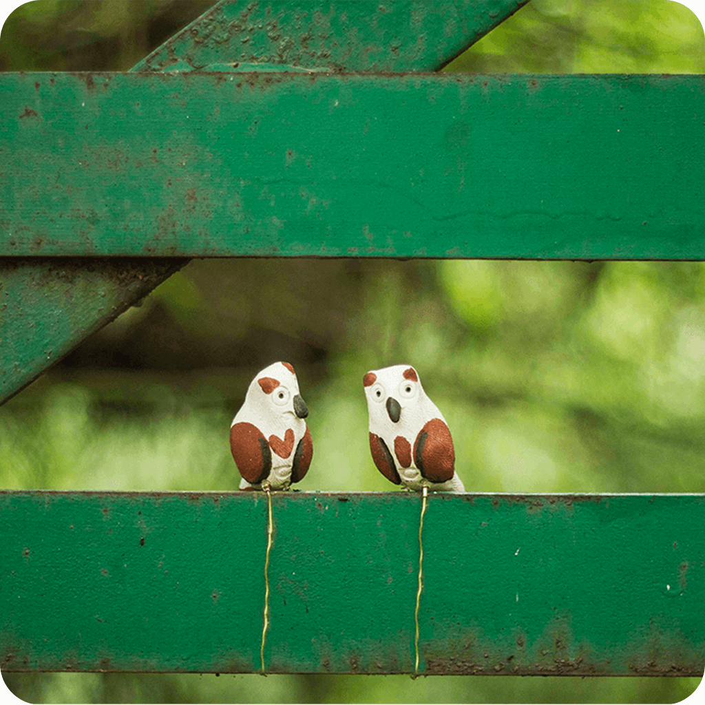 Peppy Pops - Owl (A Pair) - myBageecha