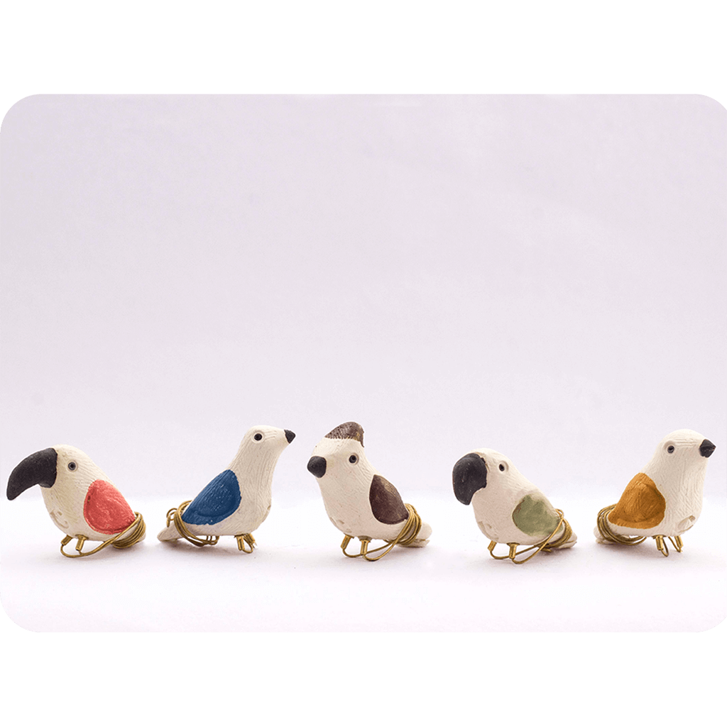 Peppy Pops - Small Assorted - myBageecha