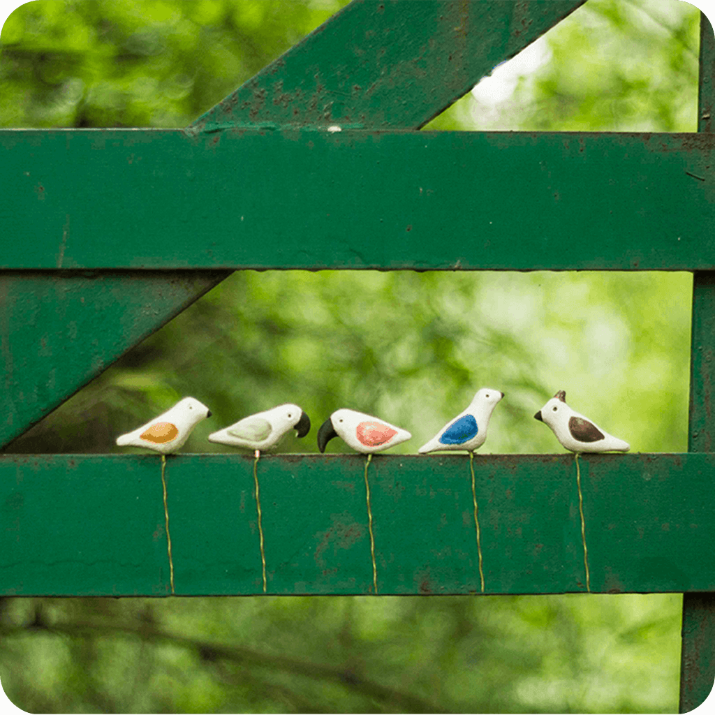 Peppy Pops - Small Assorted - myBageecha