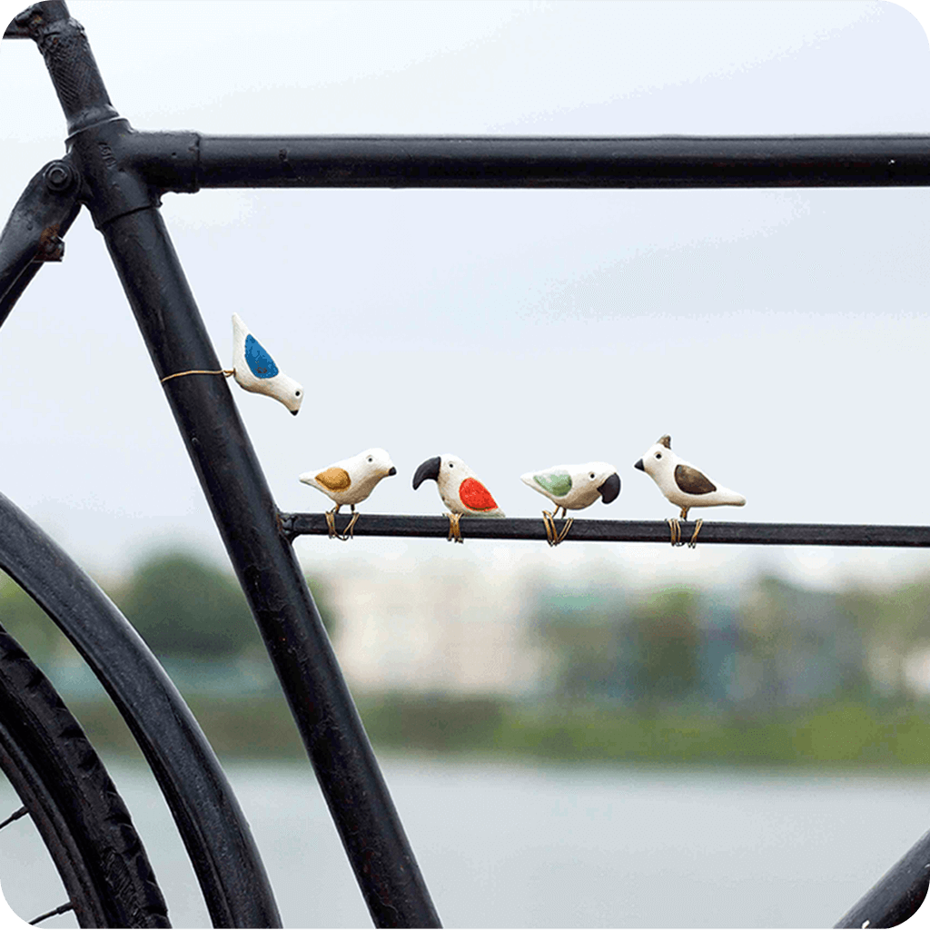 Peppy Pops - Small Assorted - myBageecha