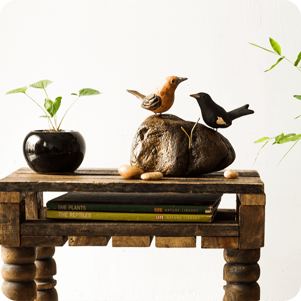 Exotic Indian Robin Stone Base Table Tops - myBageecha