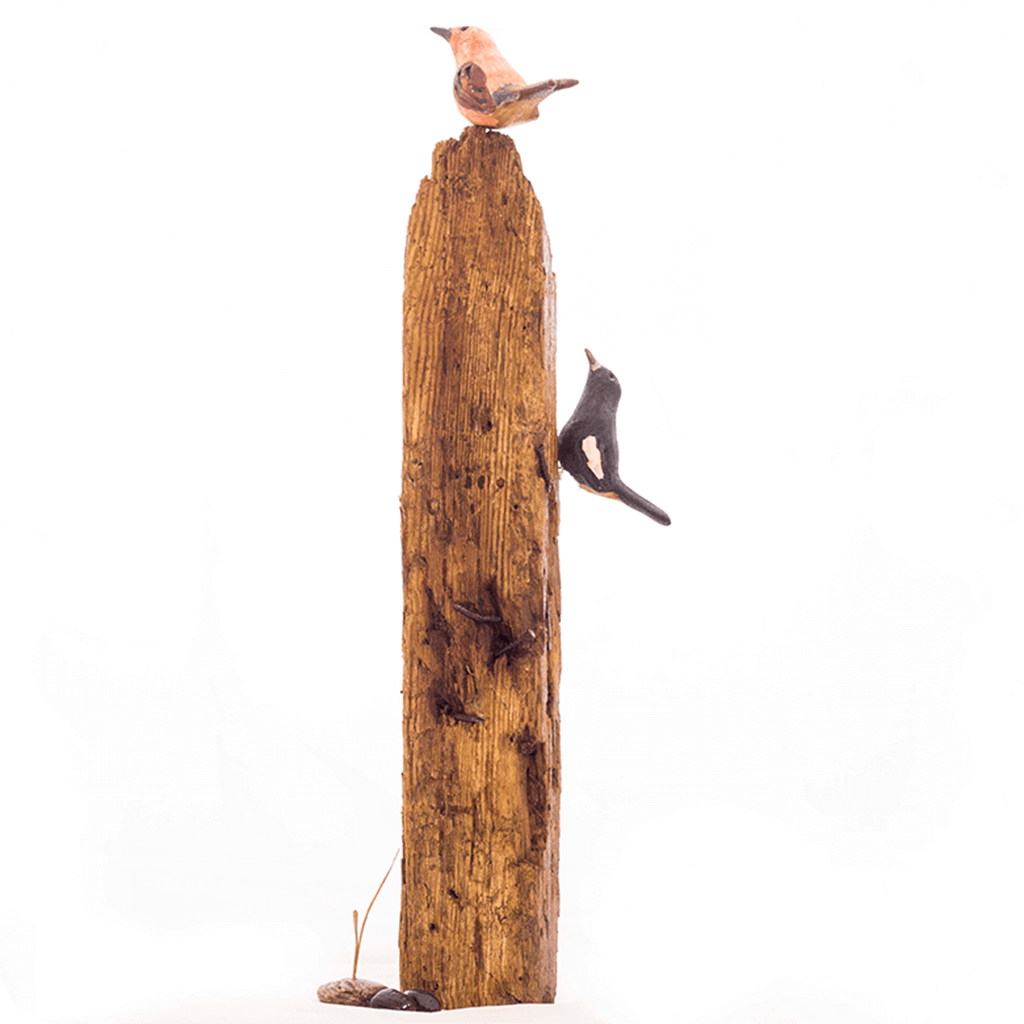 Exotic Indian Robin Wooden Base Table Tops - myBageecha