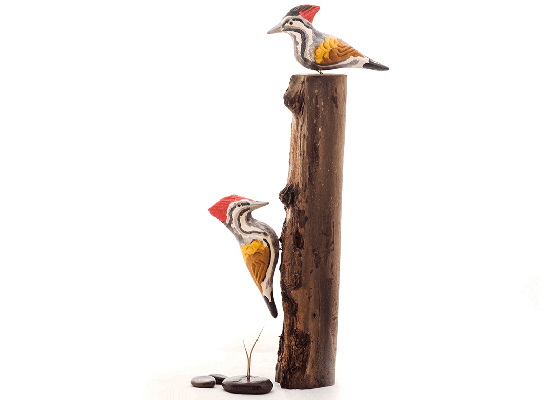 Exotic Woodpecker Wooden Base Table Tops