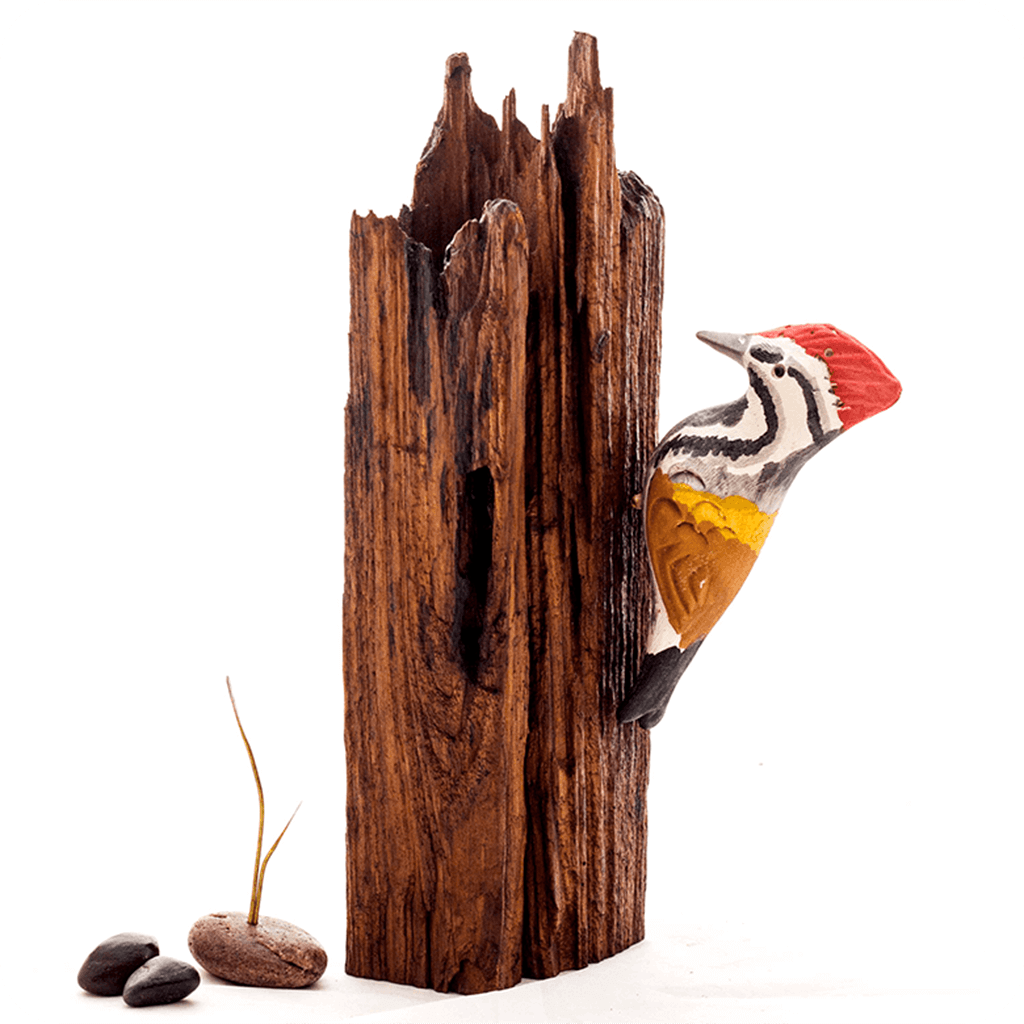 Exotic Woodpecker Wooden Base Table Tops - myBageecha