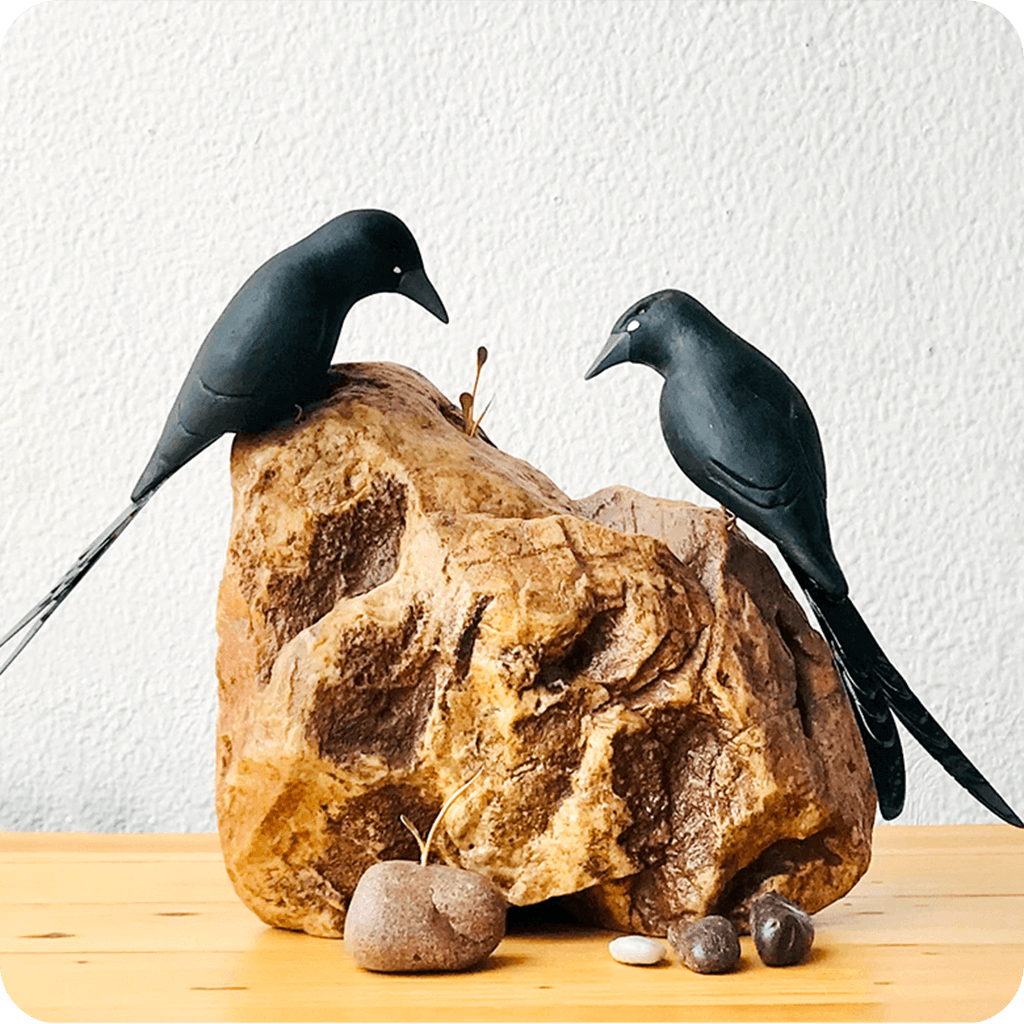 Exotic Drongo Stone Base Table Tops - myBageecha