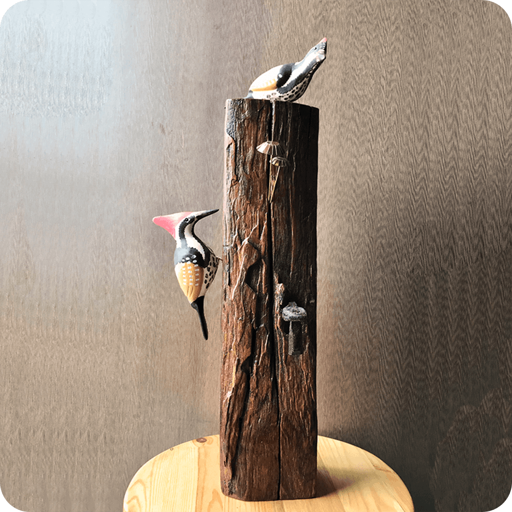 Exotic Woodpecker Wooden Base Table Tops - myBageecha