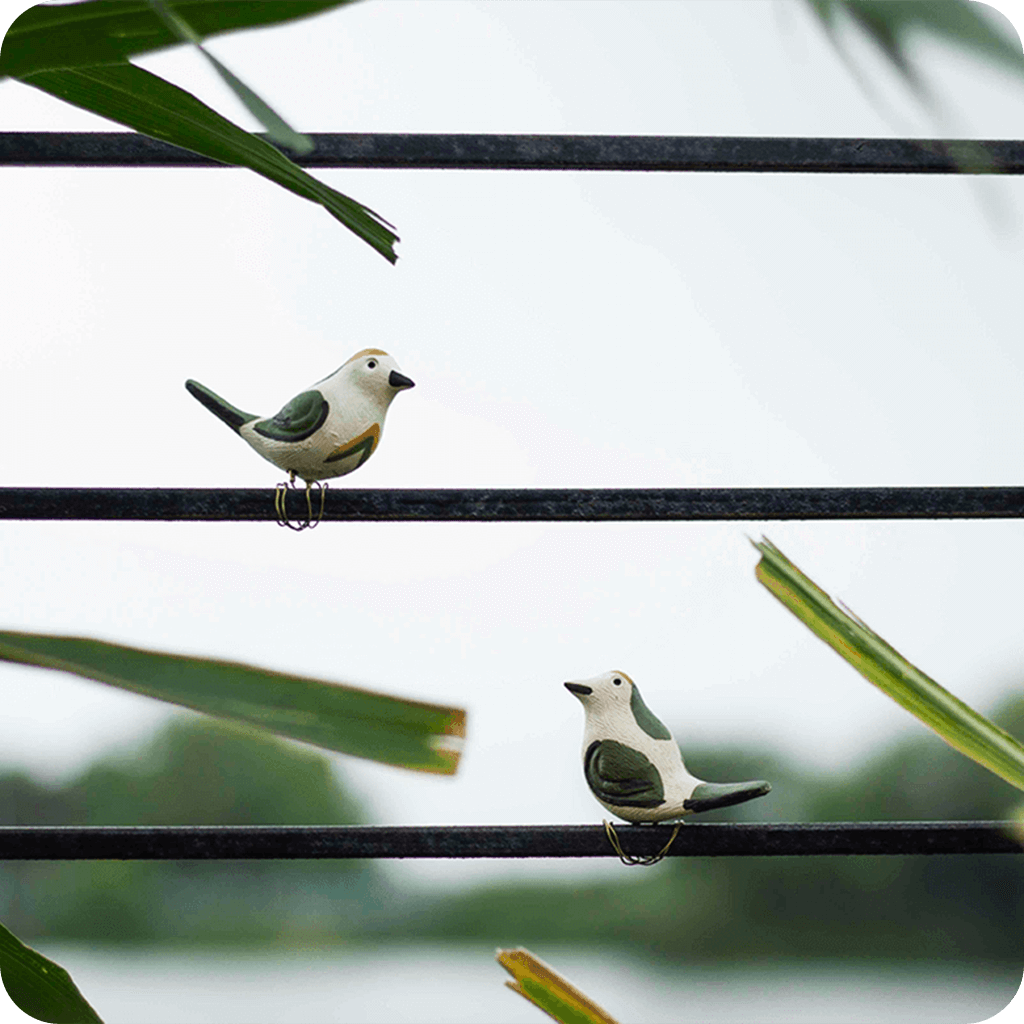 Peppy Pops - Tailorbird (A Pair) - myBageecha