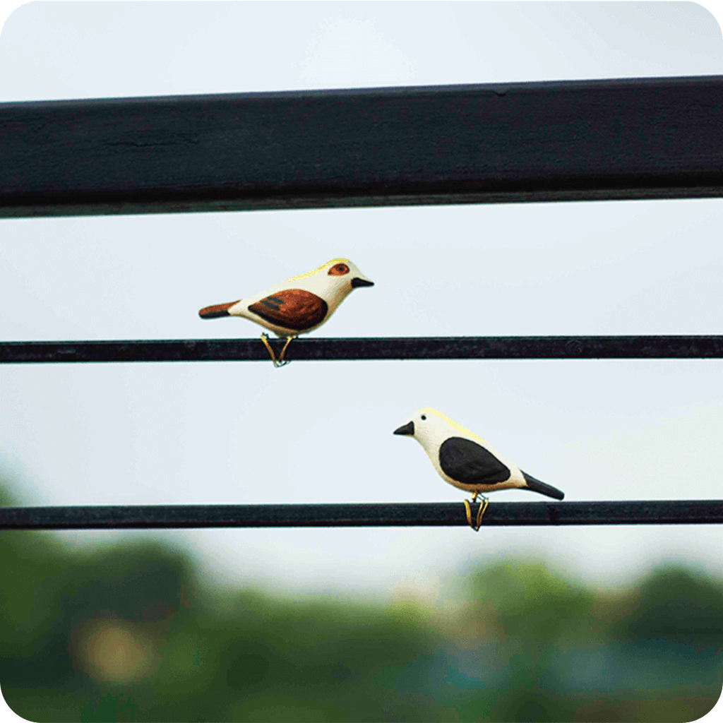 Peppy Pops - Baya Weaver (A Pair) - myBageecha