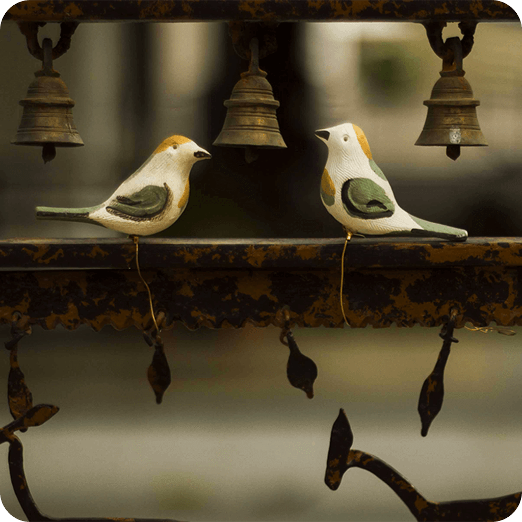 Peppy Pops - Tailorbird (A Pair) - myBageecha