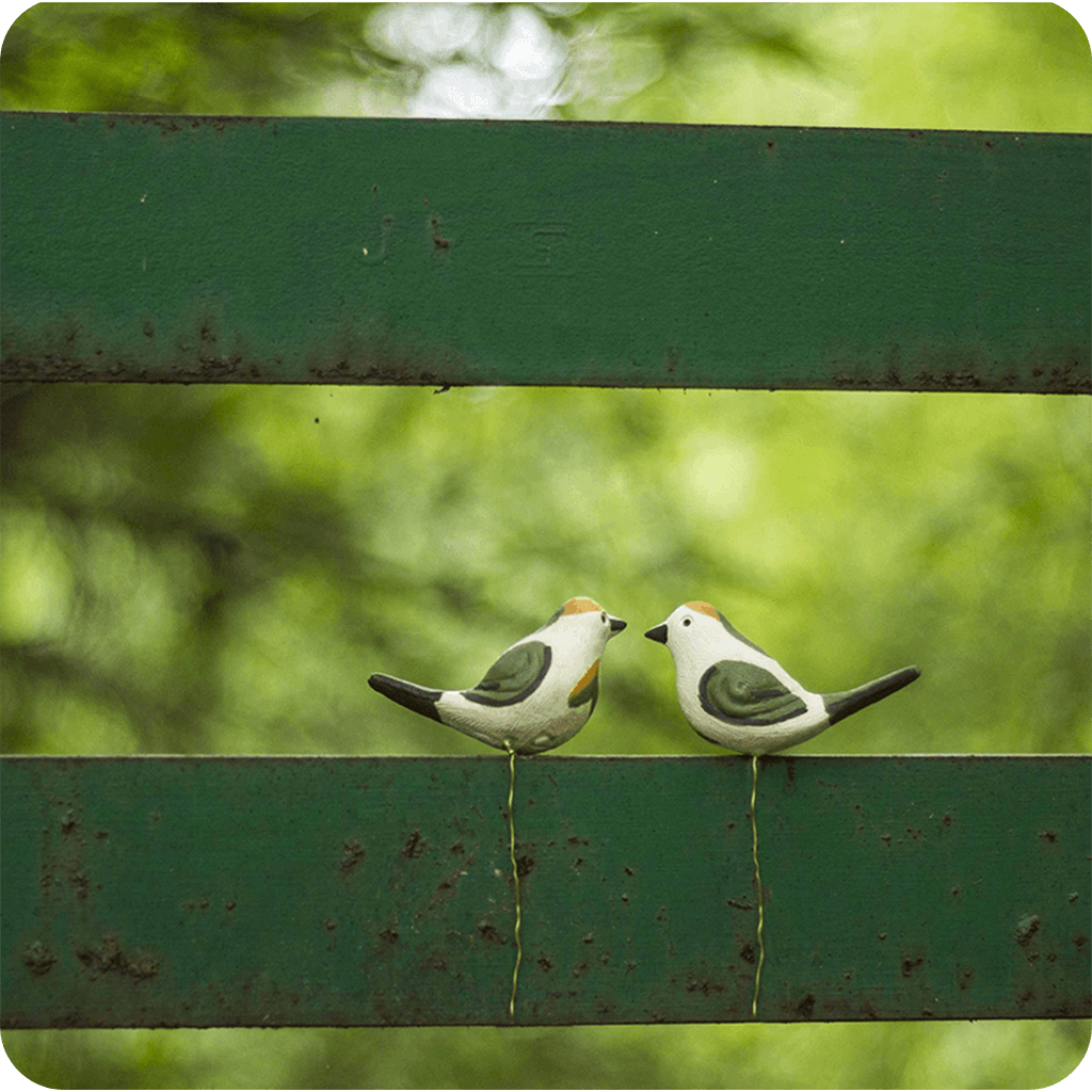 Peppy Pops - Tailorbird (A Pair) - myBageecha