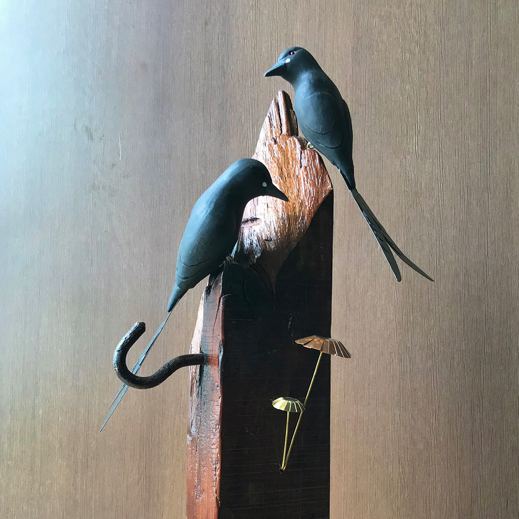 Exotic Drongo Wooden Base Table Tops - myBageecha