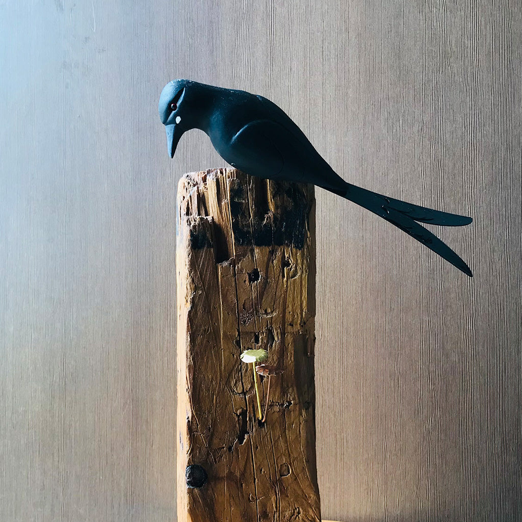 Exotic Drongo Wooden Base Table Tops - myBageecha