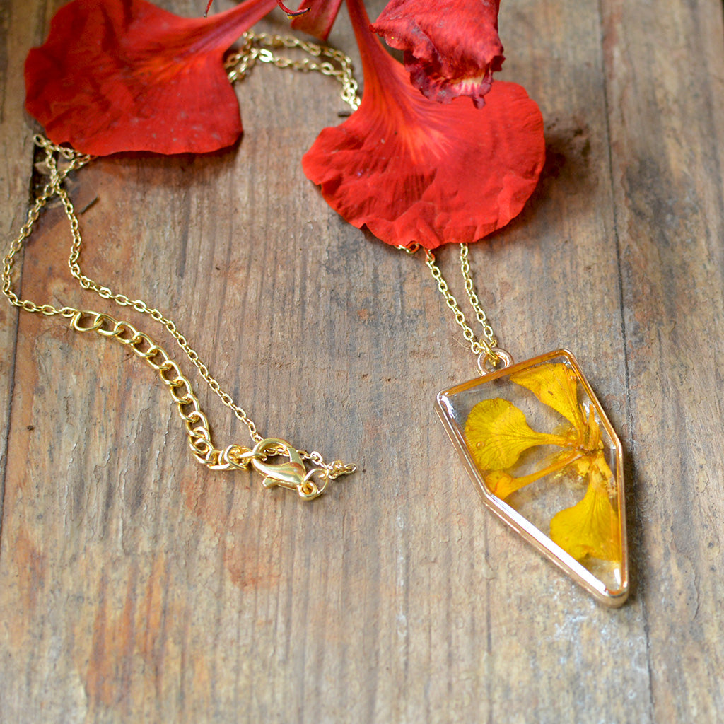 Mesmeric Gulmohar Real Dried Flower Necklace - myBageecha