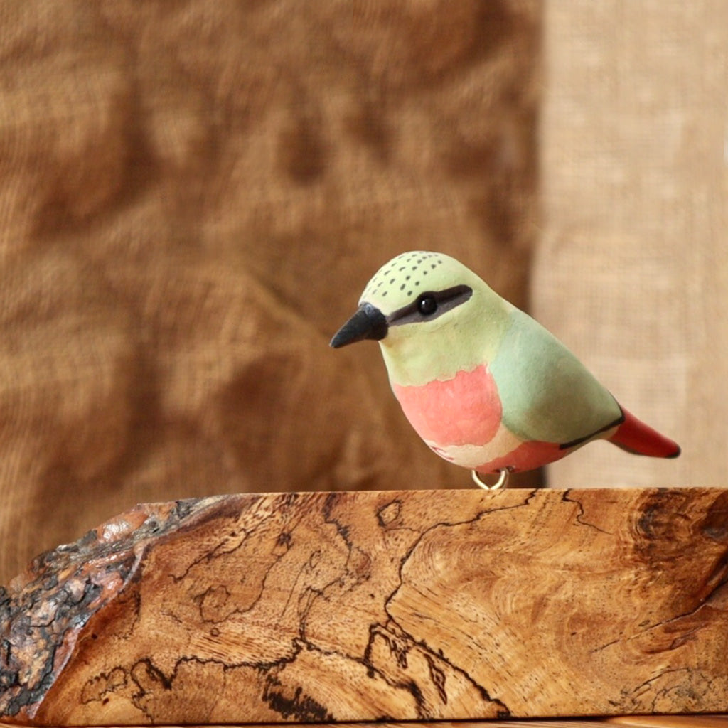 Exotic Firetailed Myzornis Wooden Base Table Tops - myBageecha